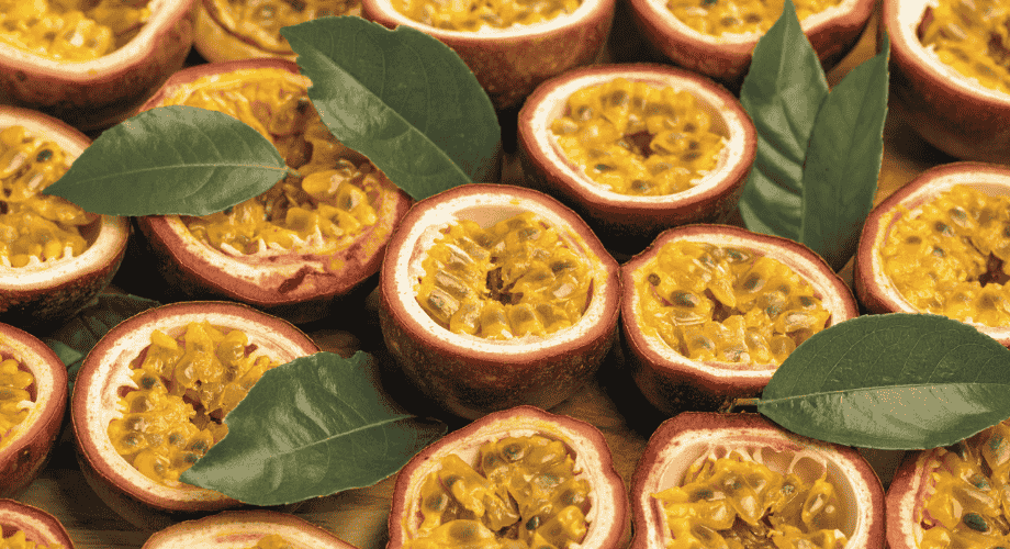 Owoce bogate w białko