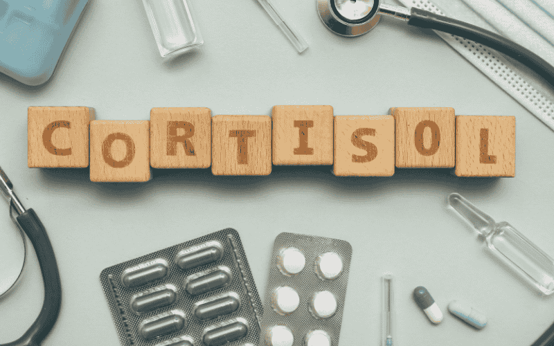 kortyzol